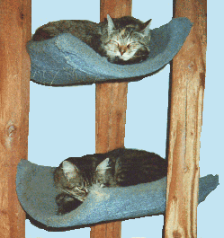 Sleeping Pals