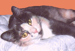 Nala's Photo